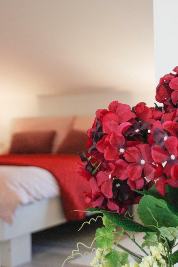 Studio Apartman Sky Rovinj Bagian luar foto